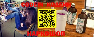 индика Обь